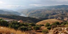 تقرير عن الجبال في سلطنة عمان مكتوب