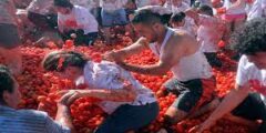 قصة مهرجان الطماطم